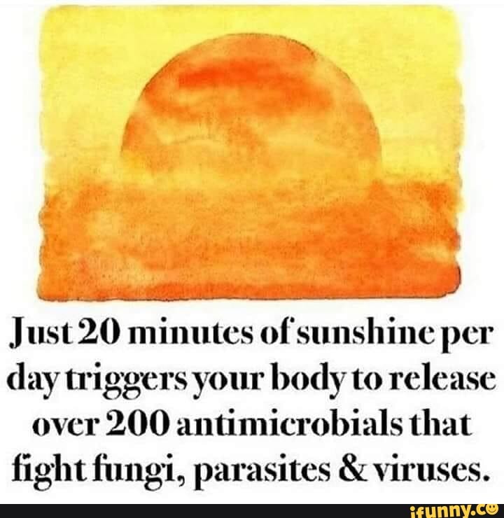 Just 20 minutes of sunshine per
day triggers your body to release
over 200 antimicrobials that
fight fungi, parasites viruses.