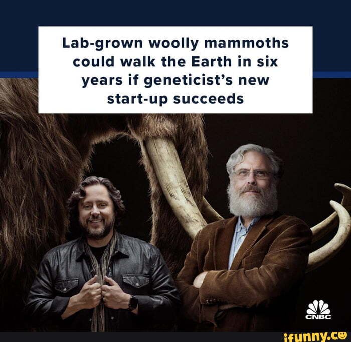 Labgrown woolly mammoths could walk the Earth in six years if new startup
