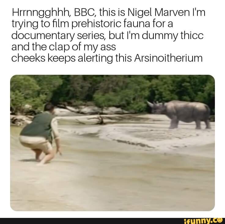White ass bbc