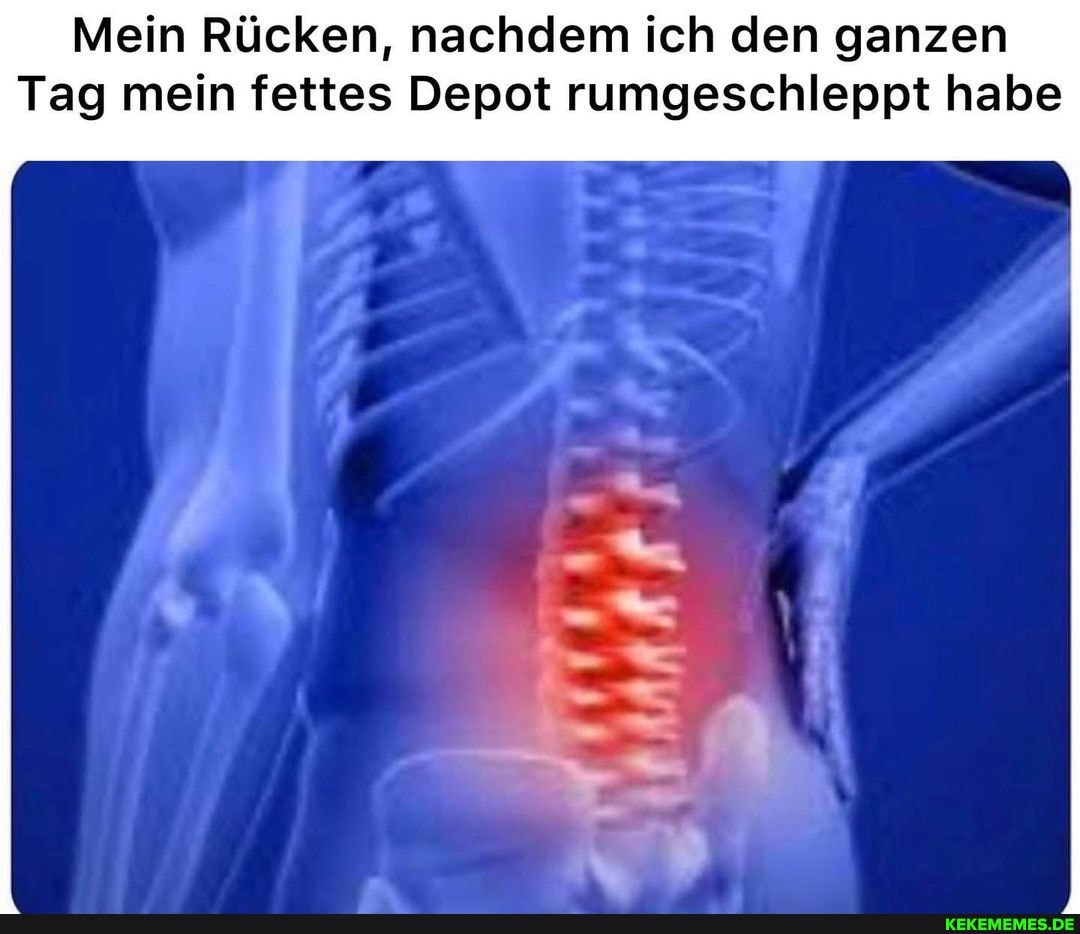 Mein Rücken, nachdem ich den ganzen
Tag mein fettes Depot rumgeschleppt habe
MM