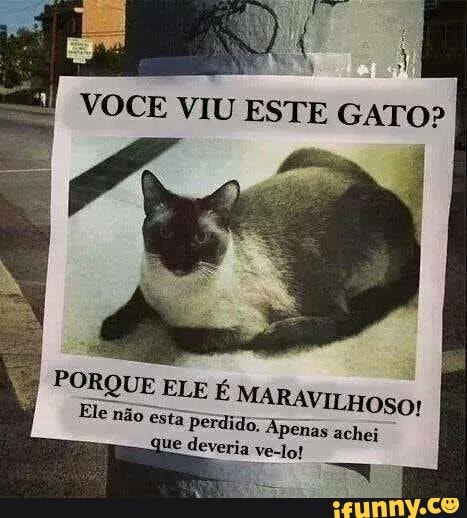 PORQUE FLE É
Ele não é
pi rot
MARAVILHOSO!
ido. Apenas achei
deveria ve-lo!