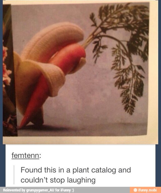 Found this in a plant catalog and
couldn't stop laughing
