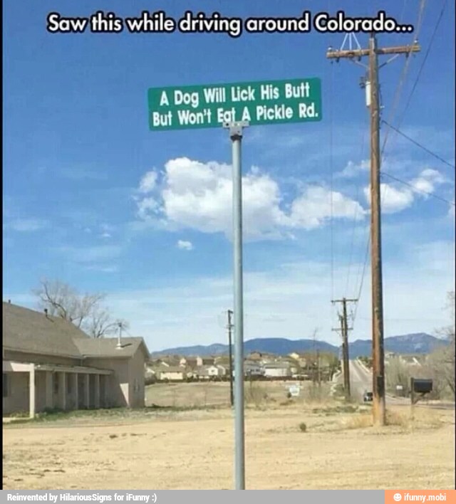 Saw;thisiwhile driving around ndo:
A
Dog Will Lick His Butt
nut
Wort Eo Pic.
eel
gua