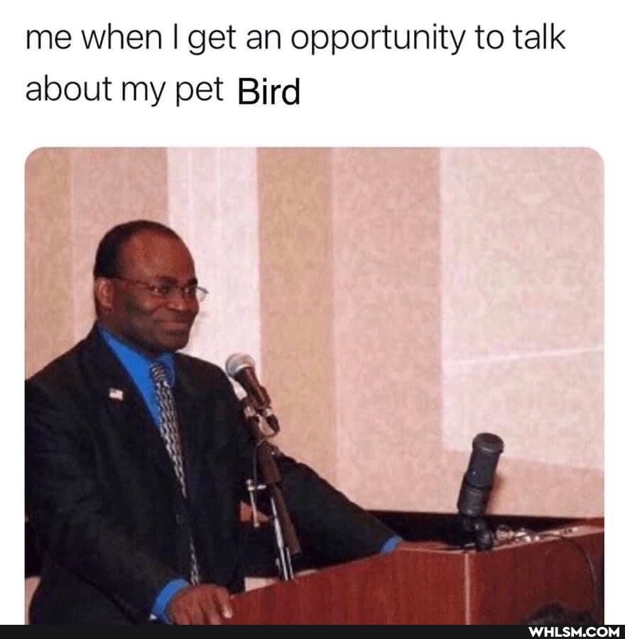 me when I get an opportunity to talk about my pet Bird