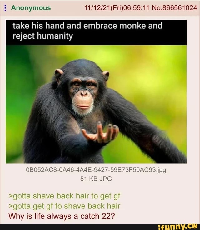 Anonymous 59 11 No 866561024 Take His Hand And Embrace Monke And