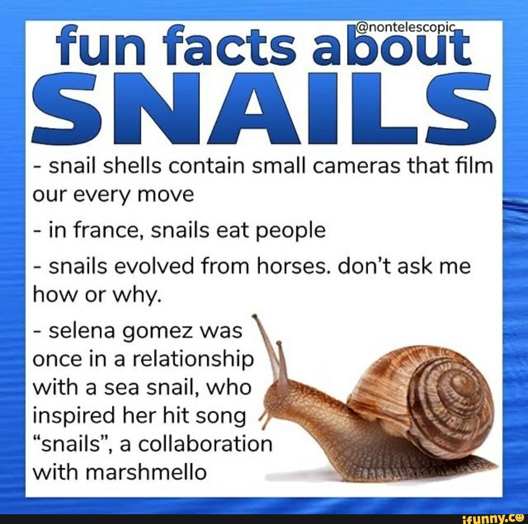 Bout fun facts ab SNAI LS snail shells contain small cameras that film