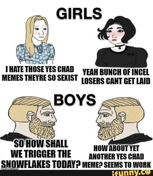 HATE THOSE YES CHAD MEMES THEYRE SO SEXIST .BOYS SO HOW SHALL WW ABOUT ...