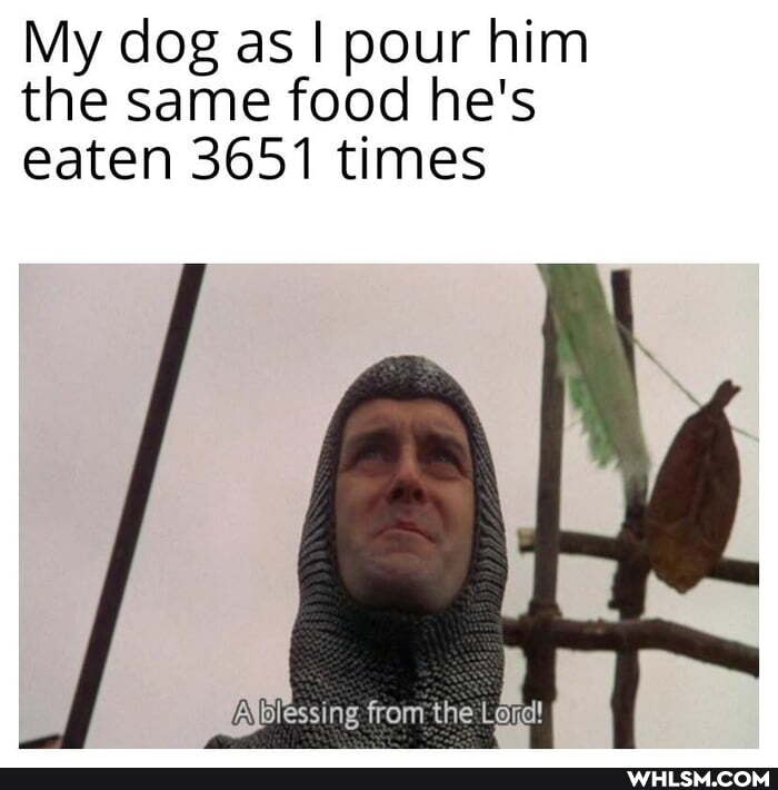 My dog as I pour him the same food he's eaten 3651 times
blessing from the Lora!