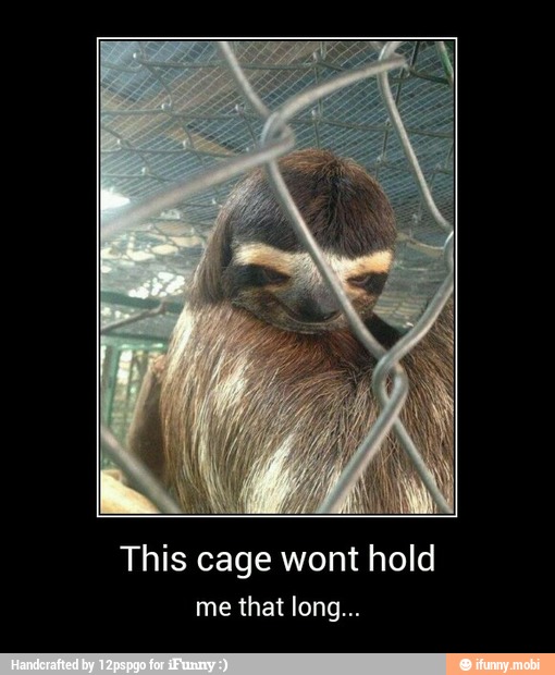This cage wont hold - This cage wont hold
me that long...