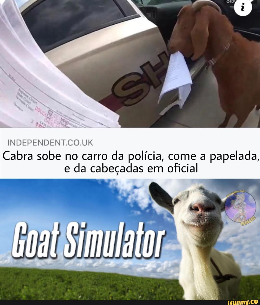 INDIPENDENTCO JK
Cabra sobe no carro da polícia, come a papelada, e da cabeçadas em oficial
Simulator