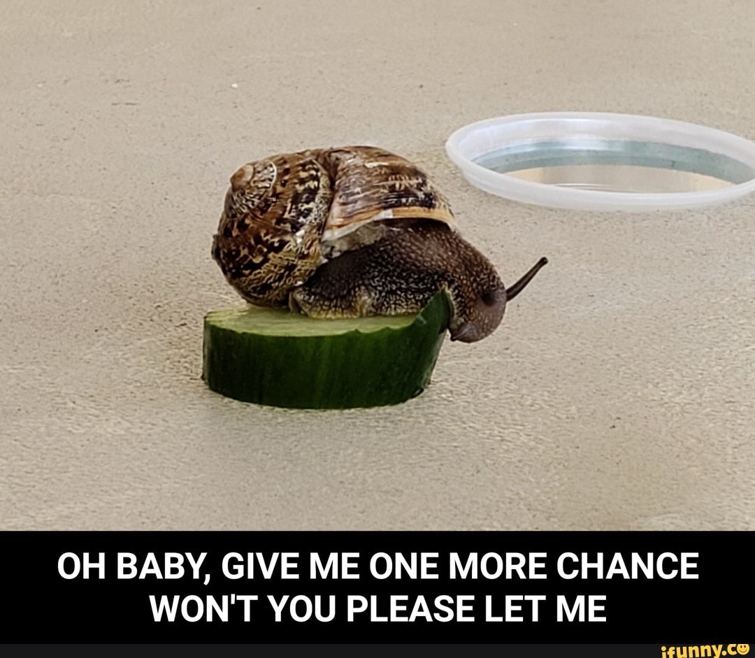 Oh Baby Give Me One More Chance Snail