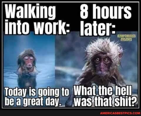 Walking hours into work: later:
he I is to What the tielt he dau waccihar