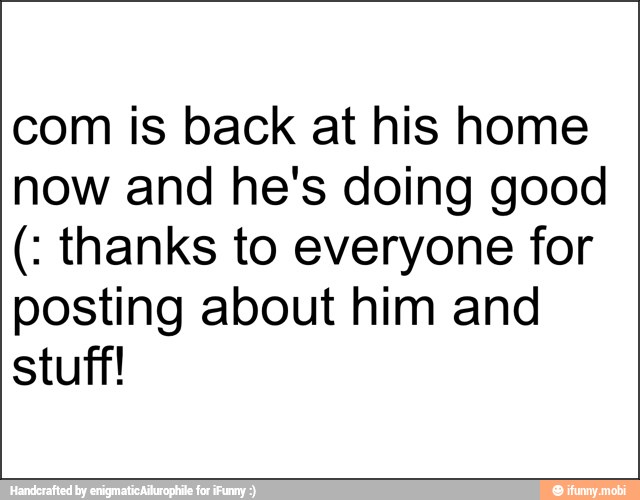 com is back at his home
now and he's doing good thanks to everyone for
posting about him and
stuff!
