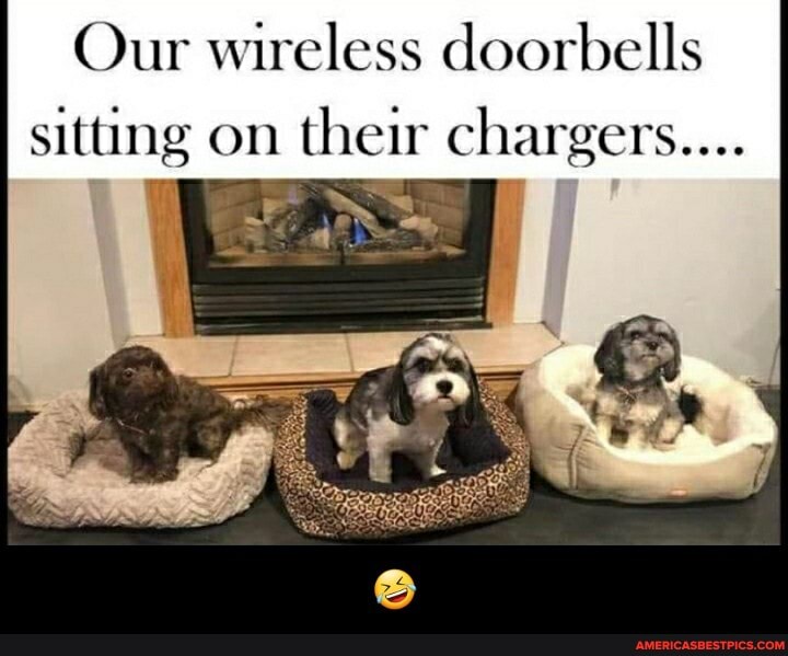 Our wireless doorbells sitting on their chargers.... - 🤣