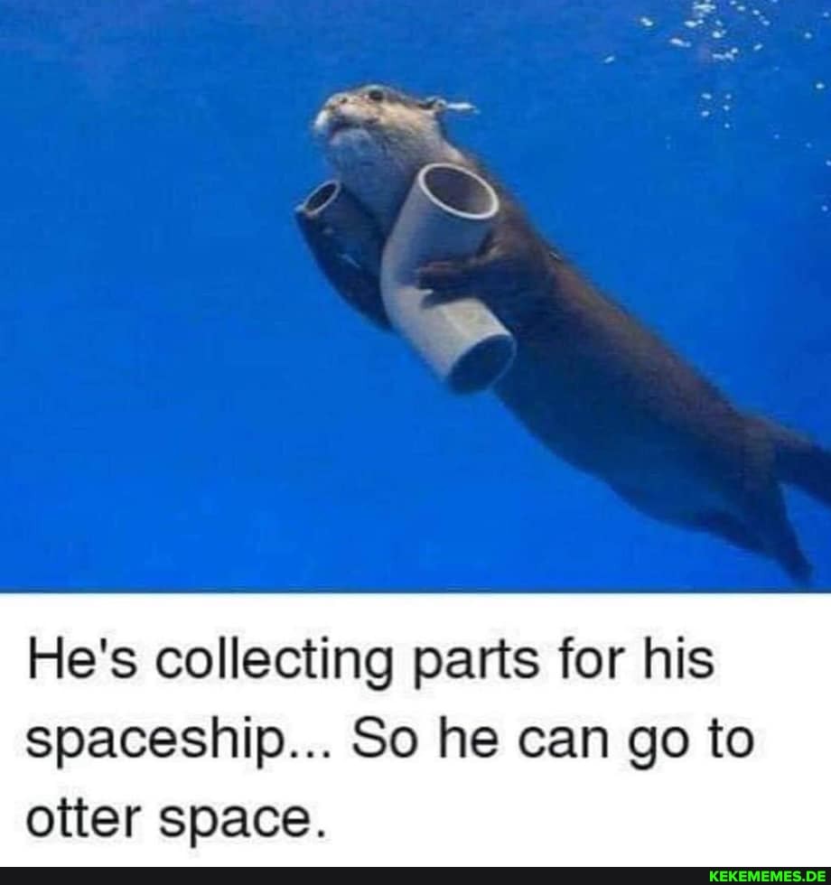 He's collecting parts for his spaceship... So he can go to otter space.