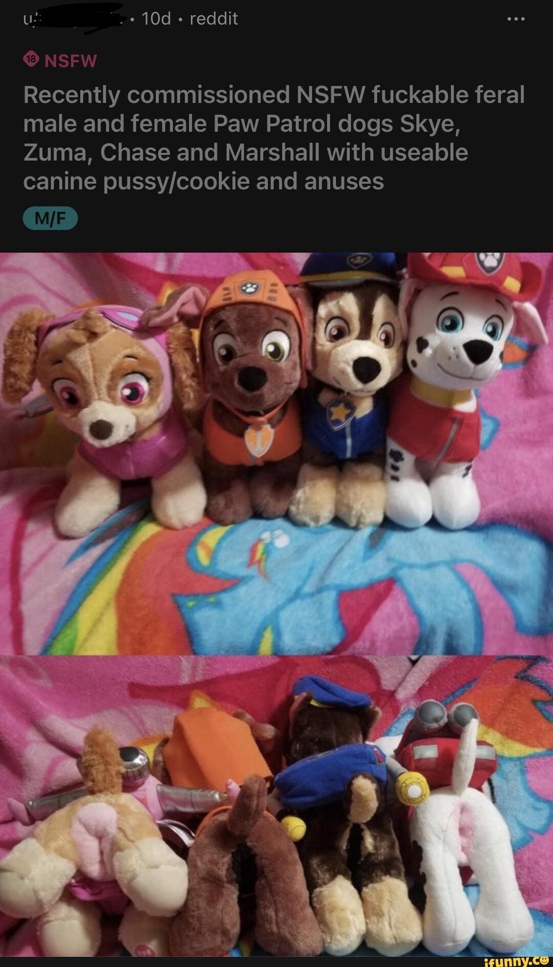 Reddit Recently commissioned NSFW fuckable feral male and female Paw Patrol  dogs Skye, Zuma, Chase and Marshall with useable canine and anuses - iFunny