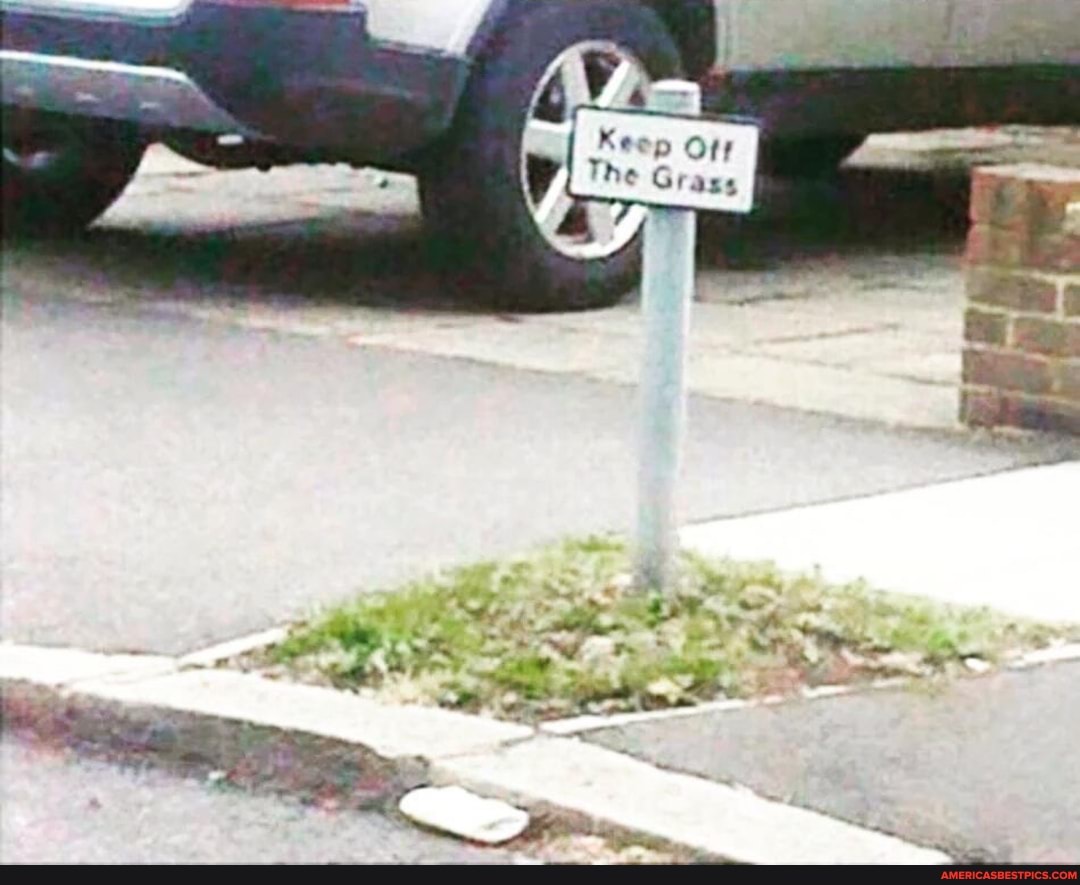 Keep ow
The Grass