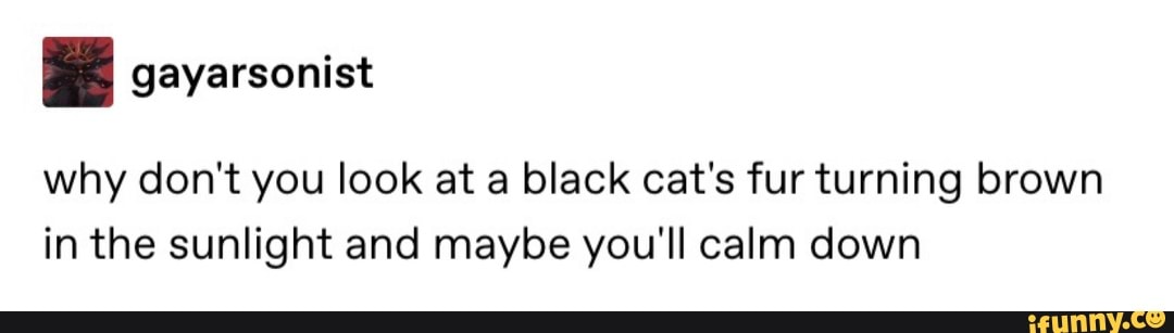 why don't you look at a black cat's fur turning brown in the sunlight and maybe you'll calm down