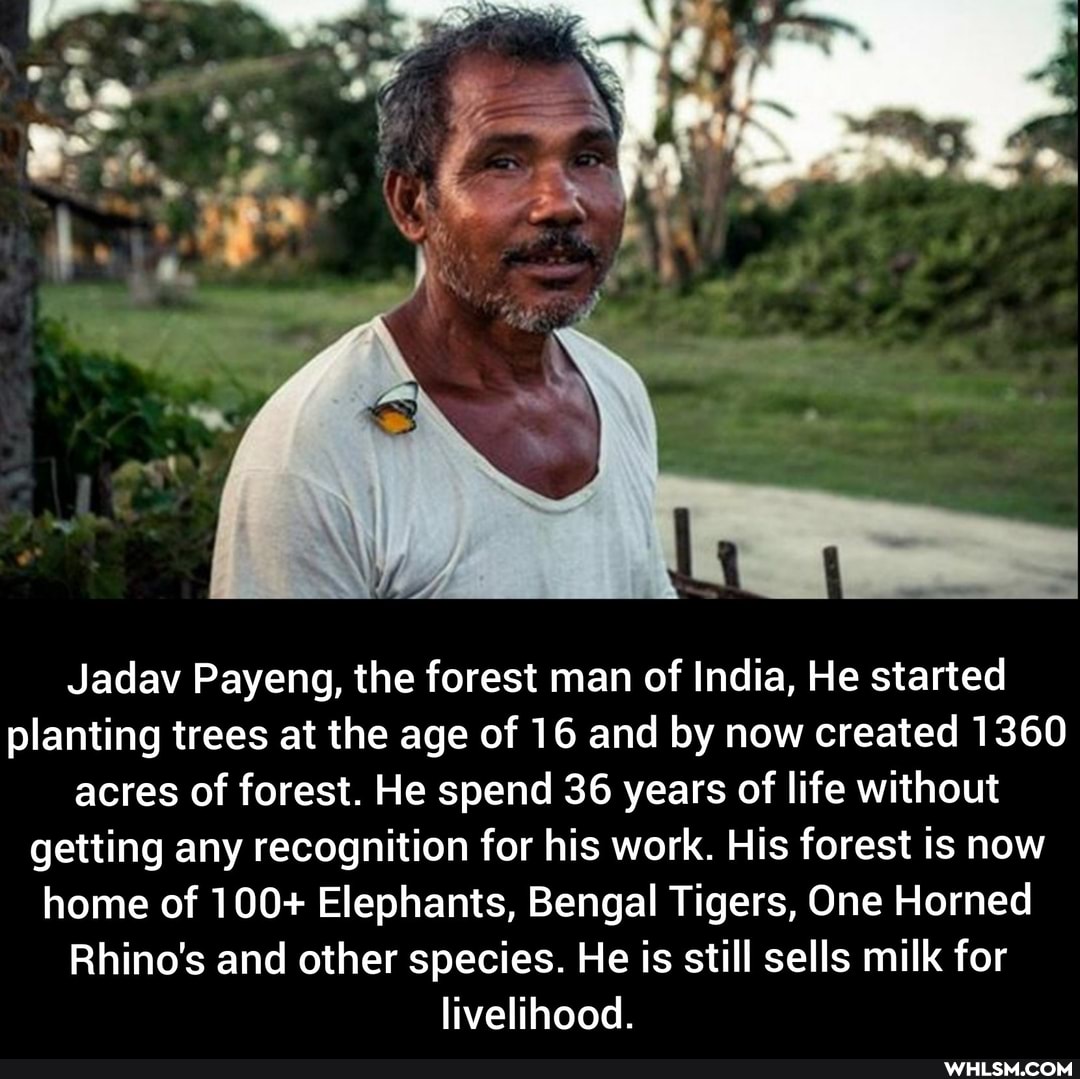 Jadav Payeng, the forest man of India, He started planting trees at the age of 16 and by now created 1360 acres of forest. He spend 36 years of life without getting any recognition for his work. His forest is now home of 100+ Elephants, Bengal Tigers, One Horned
Rhino's and other species. He is still sells milk for livelihood.