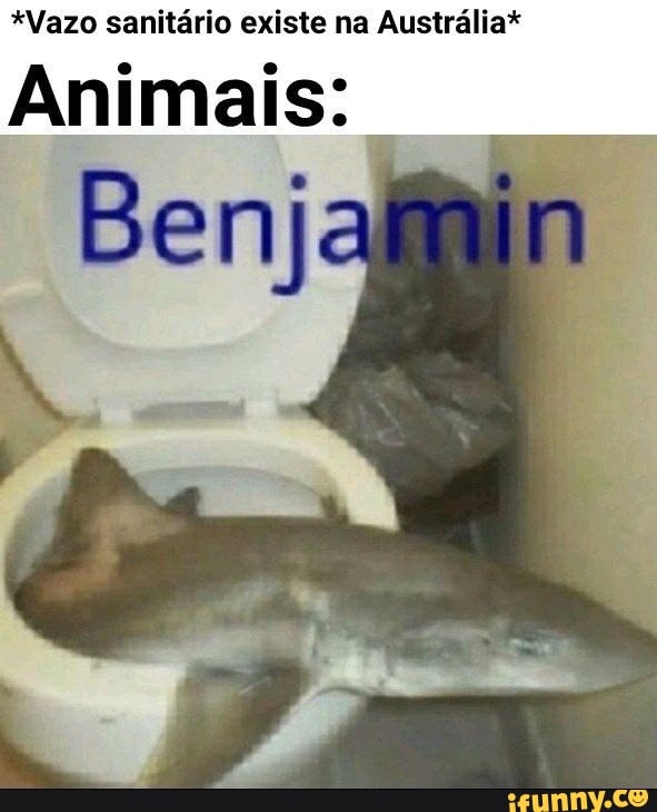 *Vazo sanitário existe na Austrália*
Animais:
Benj