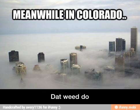 INI
Dat weed do - Dat weed do
