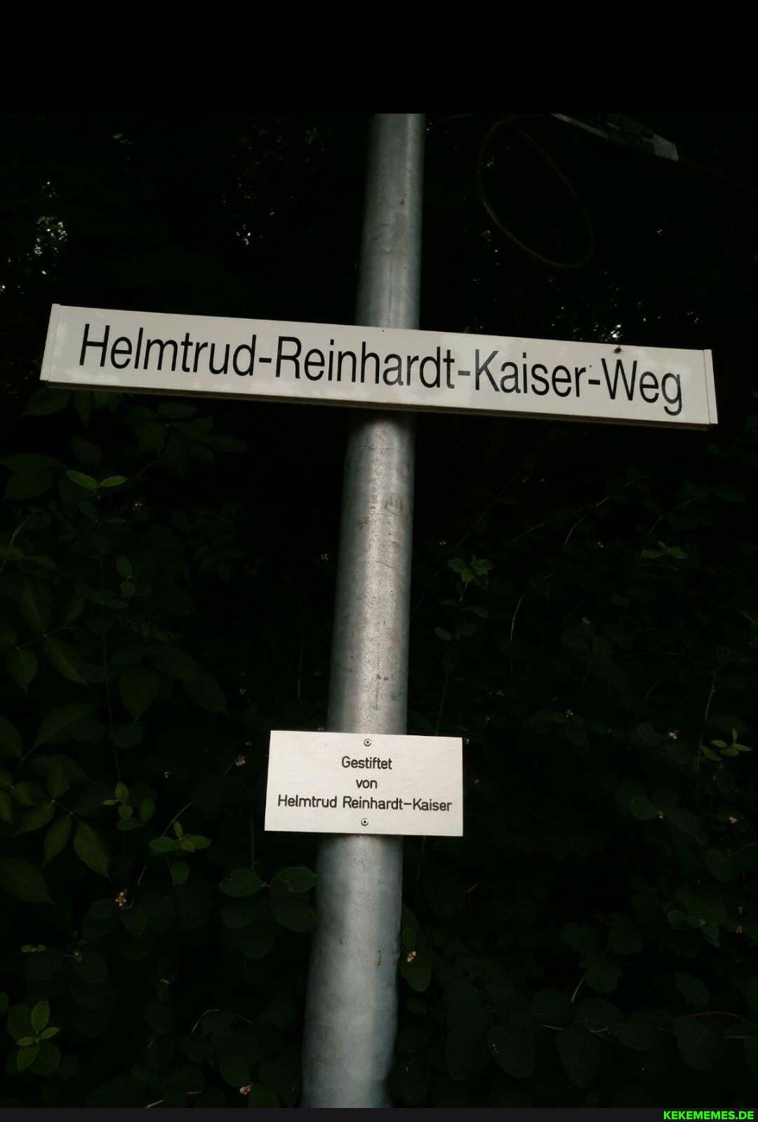 Gestiftet
von
Helmtrud Reinhardt-Kaiser