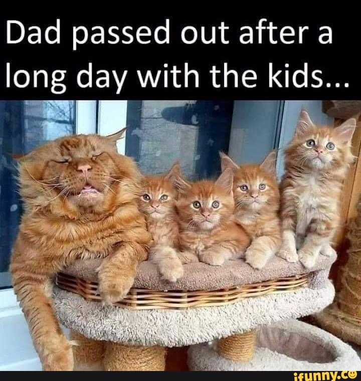 Dad passed out after a long day with the kids...