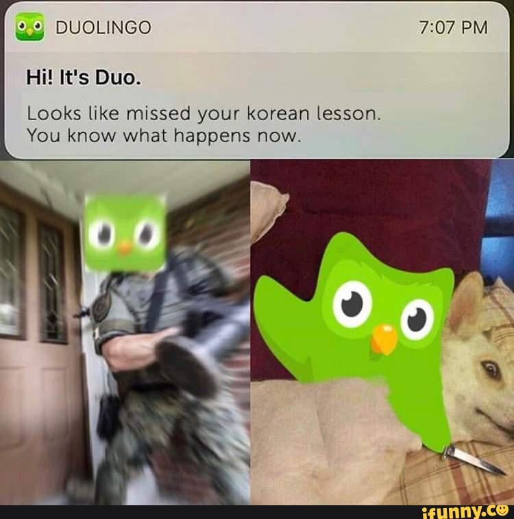 duolingo-memes-duolingo-pm-hi-it-s-duo-looks-like-missed-your