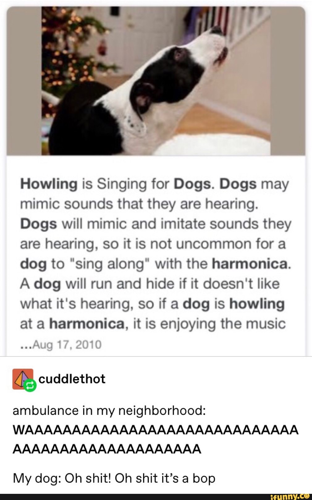 View of Howling is Singing for Dogs. Dogs may mimic sounds that they are ...