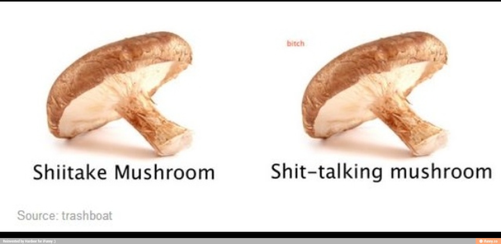 Shiitake MushEoom Shit-talking mughroom 
