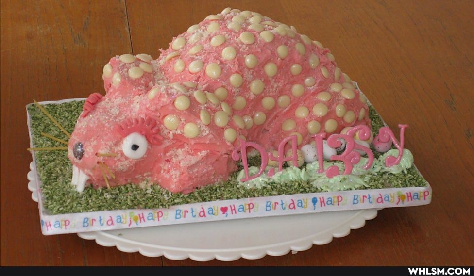 imgur12, baking, cakes, gbbo