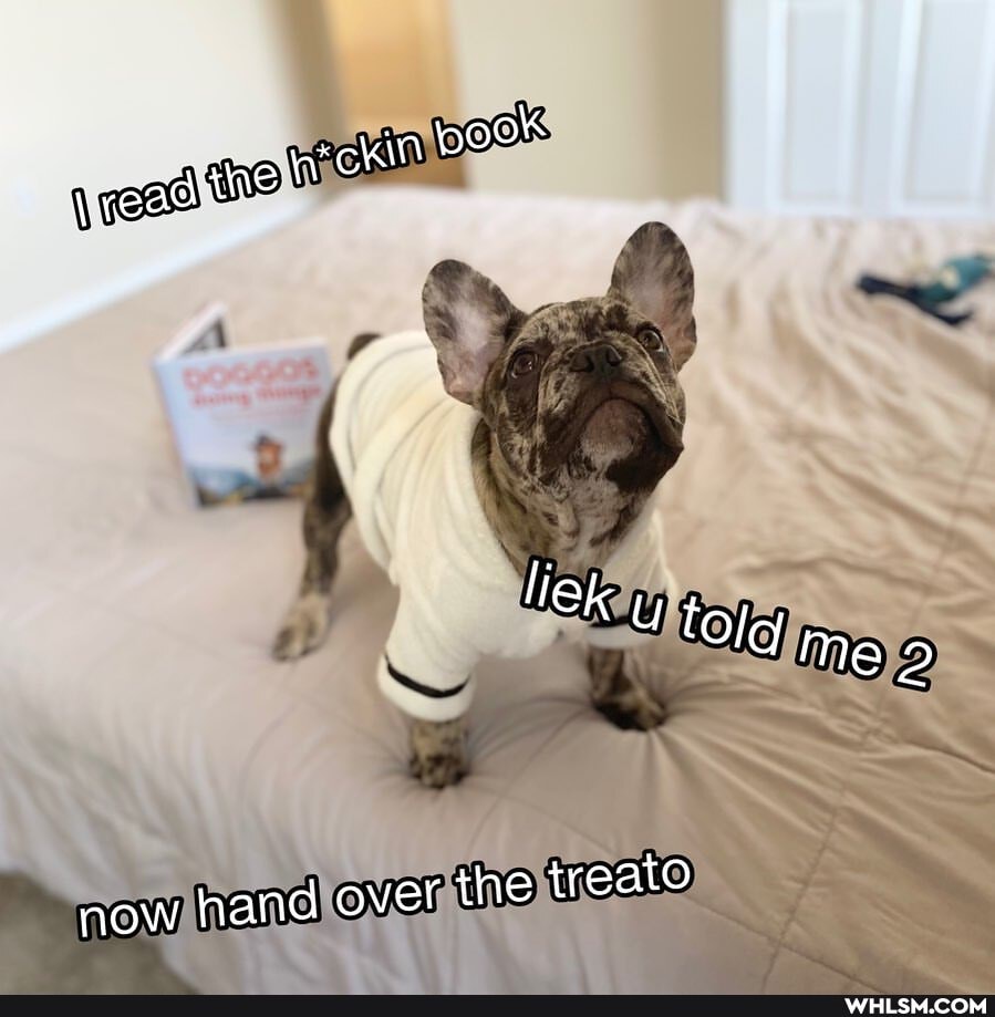 pecs
now hand ovet the treato