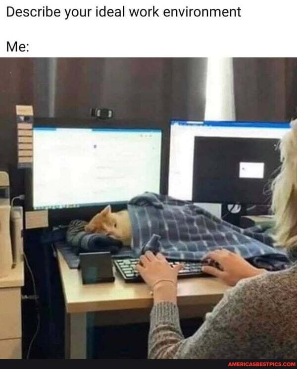 Describe your ideal work environment
Me: