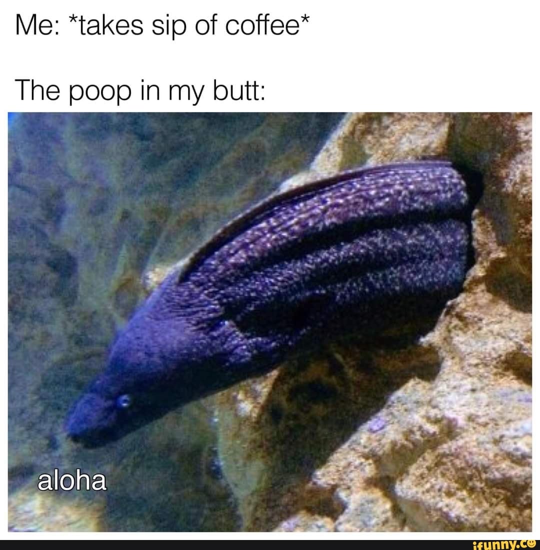 Me: *takes sip of coffee* The poop in my butt: ad aloha - iFunny