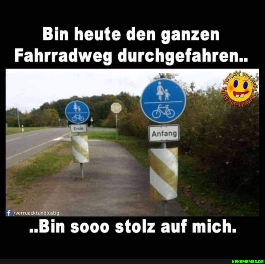 Wenn Ich Meiner Mutter Ein Meme Zeige