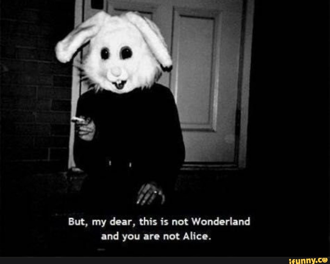 I Am Not Alice And This Is Not Wonderland