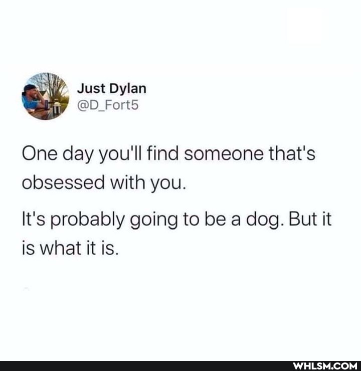 Just Dylan
@D_Fort5
One day you'll find someone that's
obsessed with you.
It's probably going to be a dog. But it is what it is.