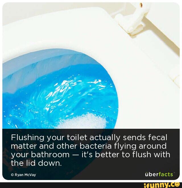 Flushing your toilet actually sends fecal matter and other bacteria