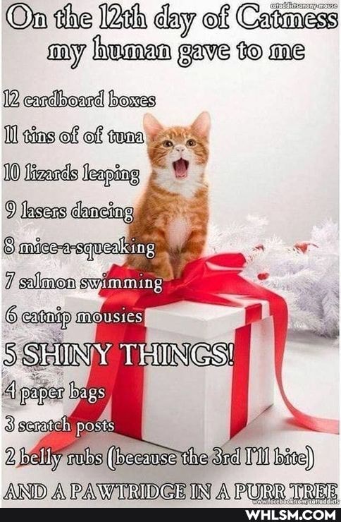 On the day of Catimess my homan gave to me
carclooardl boxes)
sins off of
ting
SHINY THINGS
hags
posts
belly the
ADND) A TINY A Drom