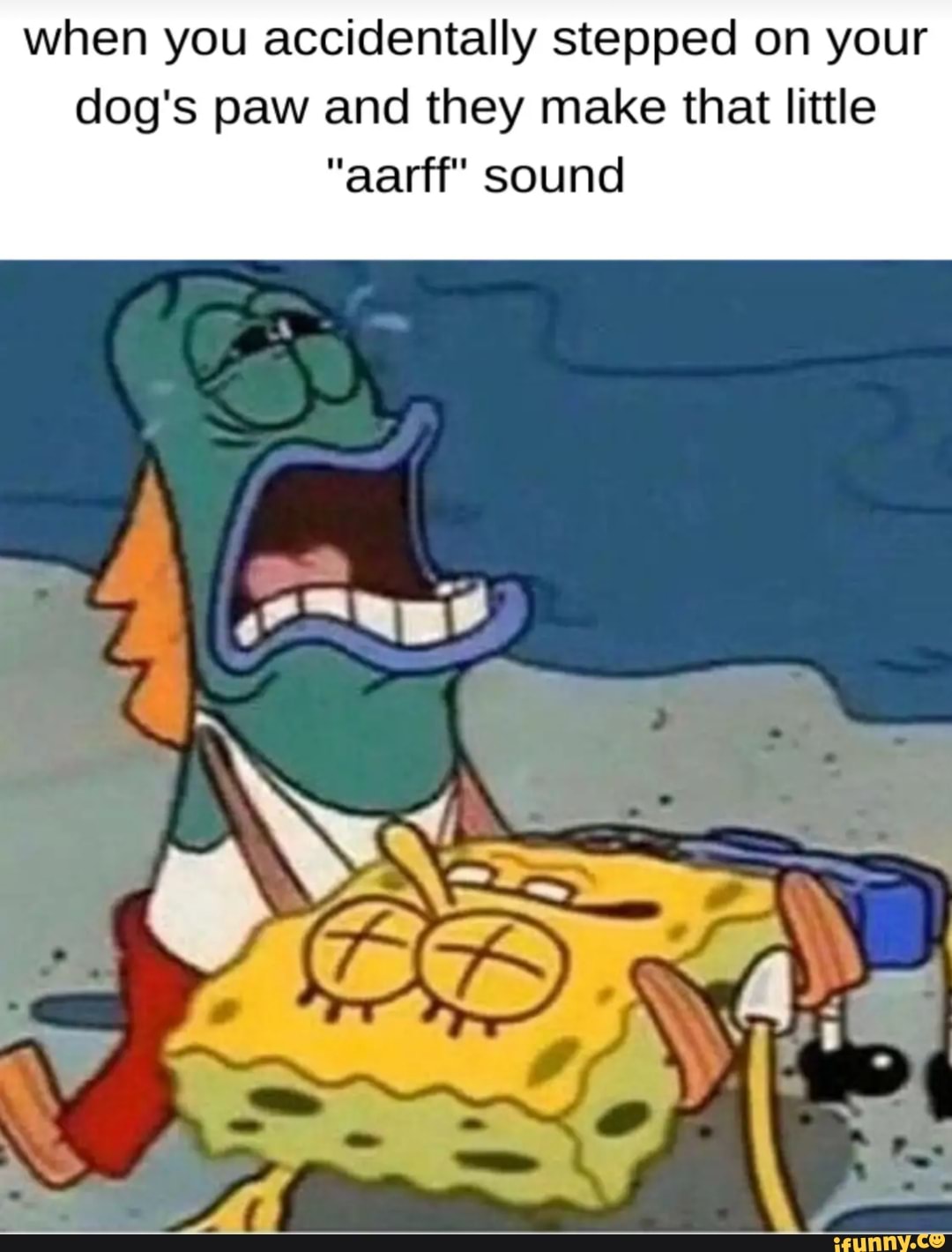 when you accidentally stepped on your
dog's paw and they make that little
"aarff" sound