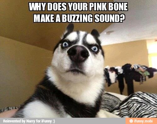 WHY DOES YOUR PINK BONE E
MAKE A BUZZING SOUND?