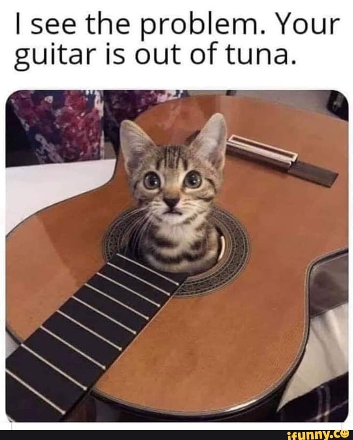 I see the problem. Your
guitar is out of tuna.