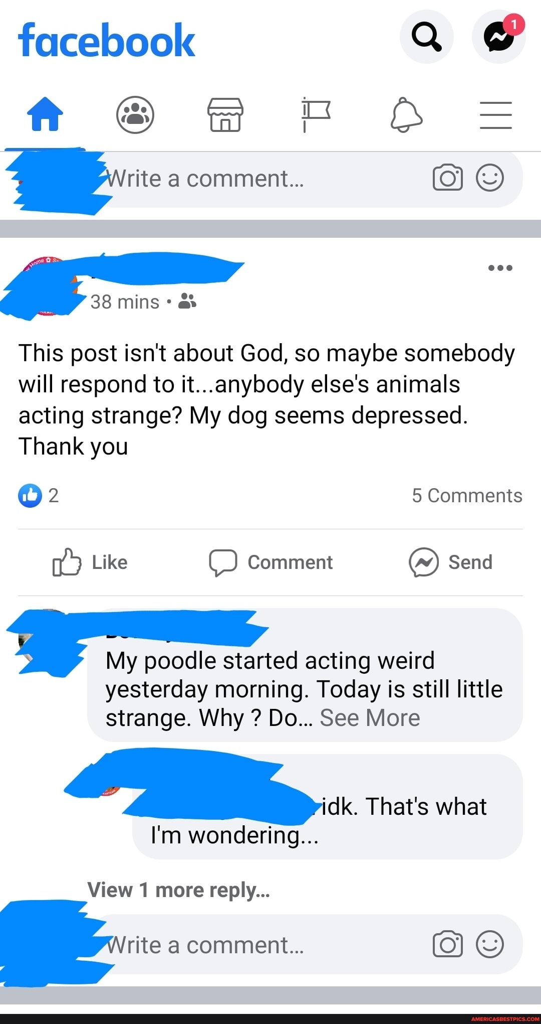 This post isnt about God, so maybe somebody
will respond to it...anybody else's animals
acting strange? My dog seems depressed.
Thank you
My poodle started acting weird
yesterday morning. Today is still little
o
I That's what
I'm wondering...
View 1 more reply...