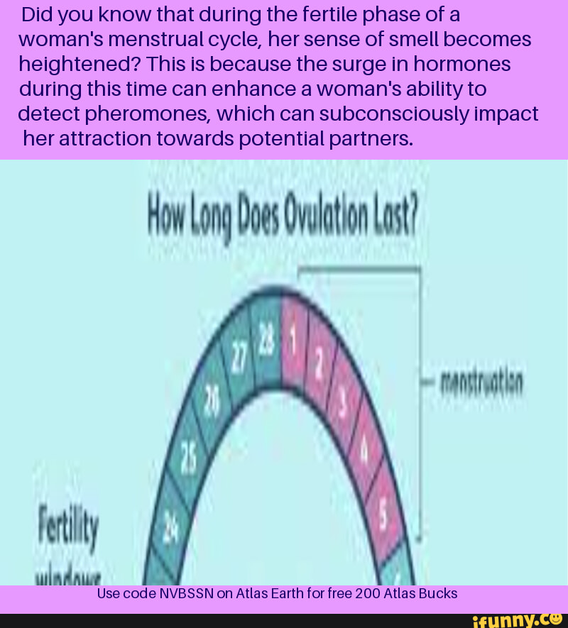 Did you know that during the fertile phase of a woman's menstrual cycle