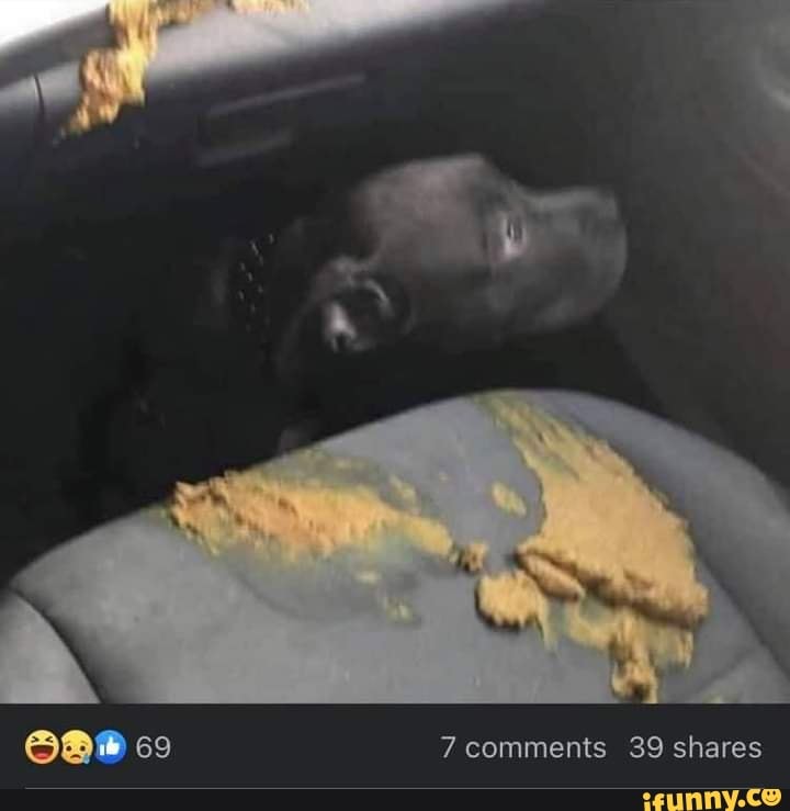 co 7 comments 39 shares