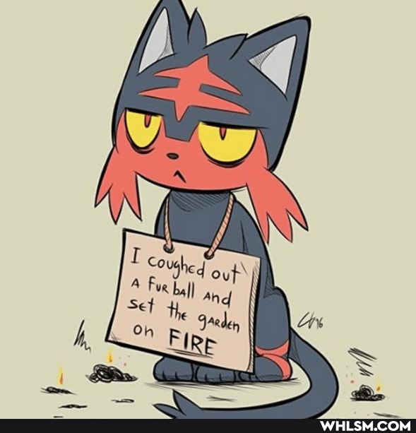 pokemon, baby_animals, notpolitics