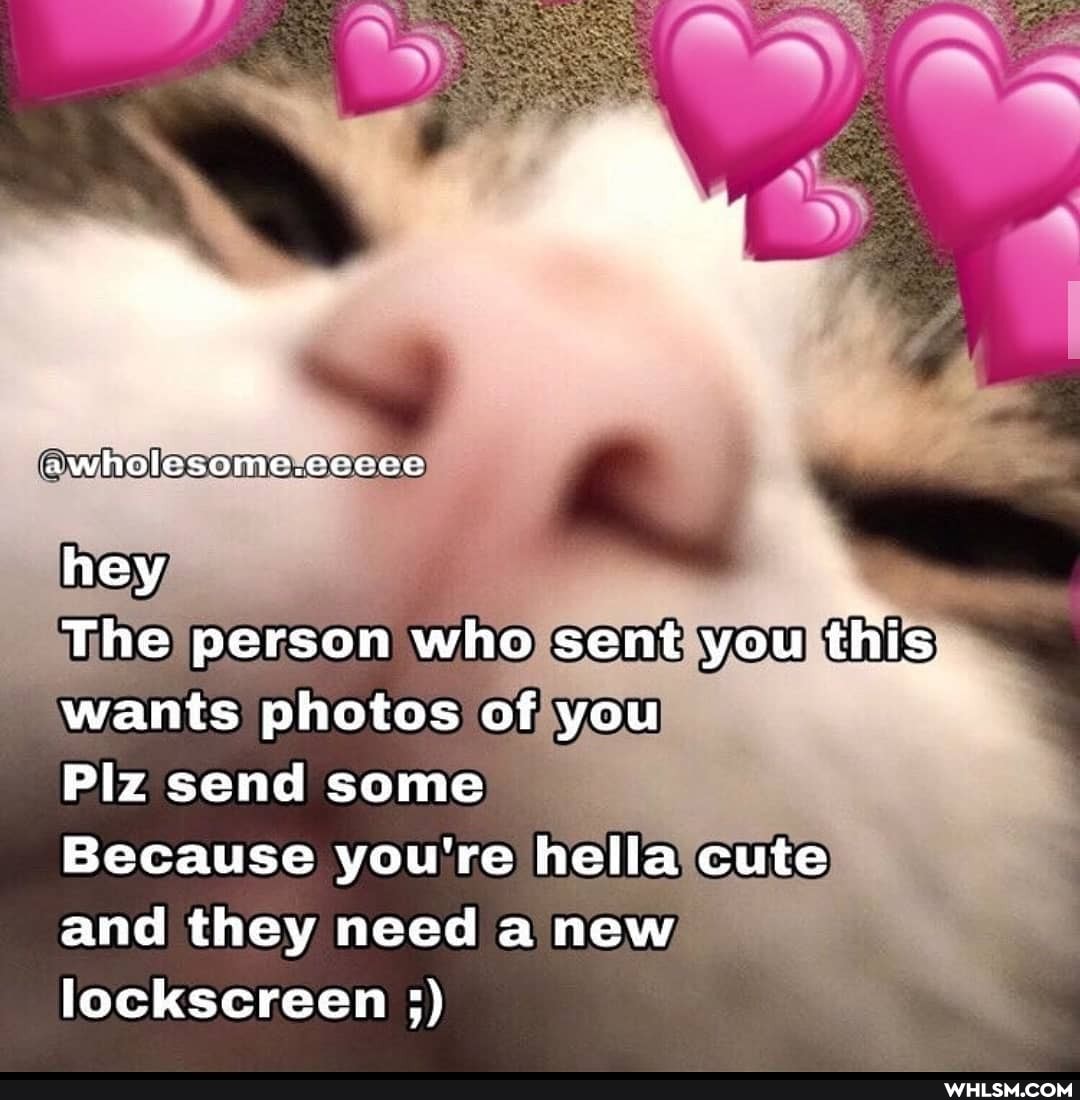 ~ *
awholesome.eecece
hey
The person who sent you this.
wants photos of you
Plz send some
Because you're hella cute and they need a new lockscreen 5)