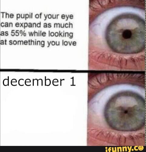 The pupil of your eye
Can expand as much
december 1
