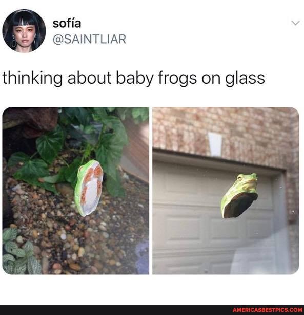 thinking about baby frogs on glass