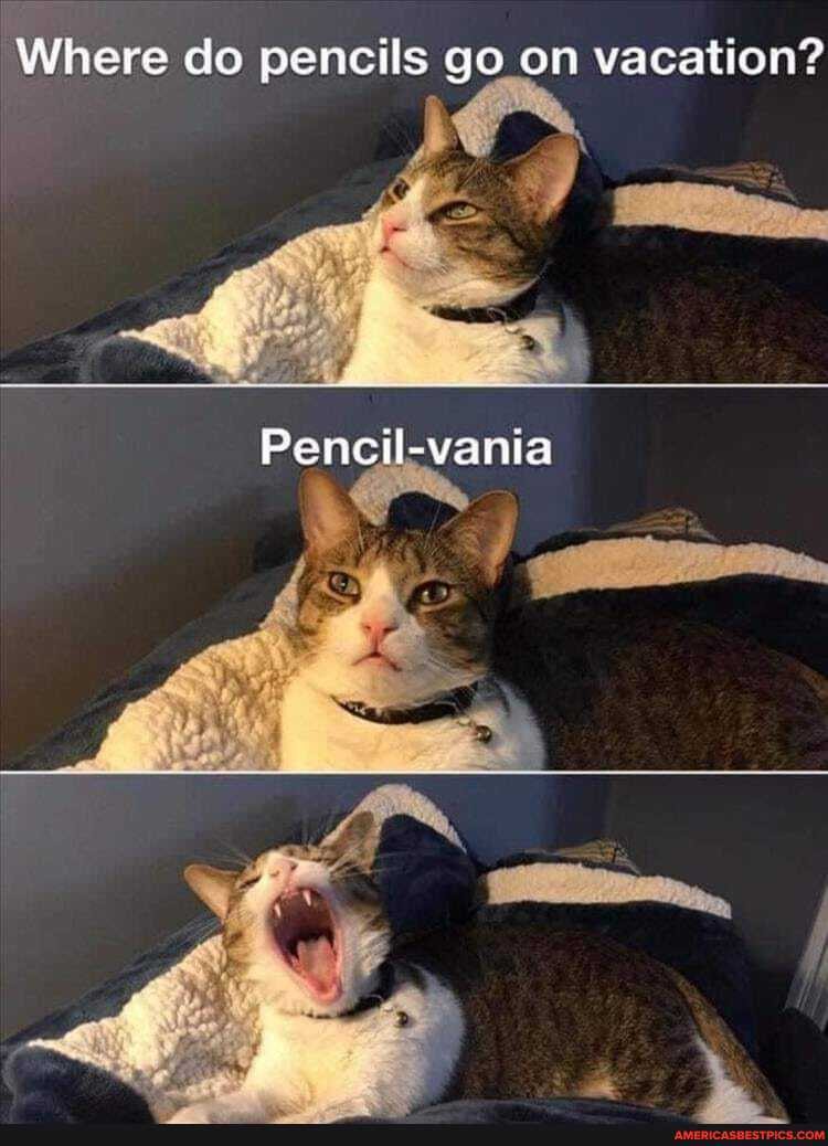 Where do pencils go on vacation?
Pencil-vania